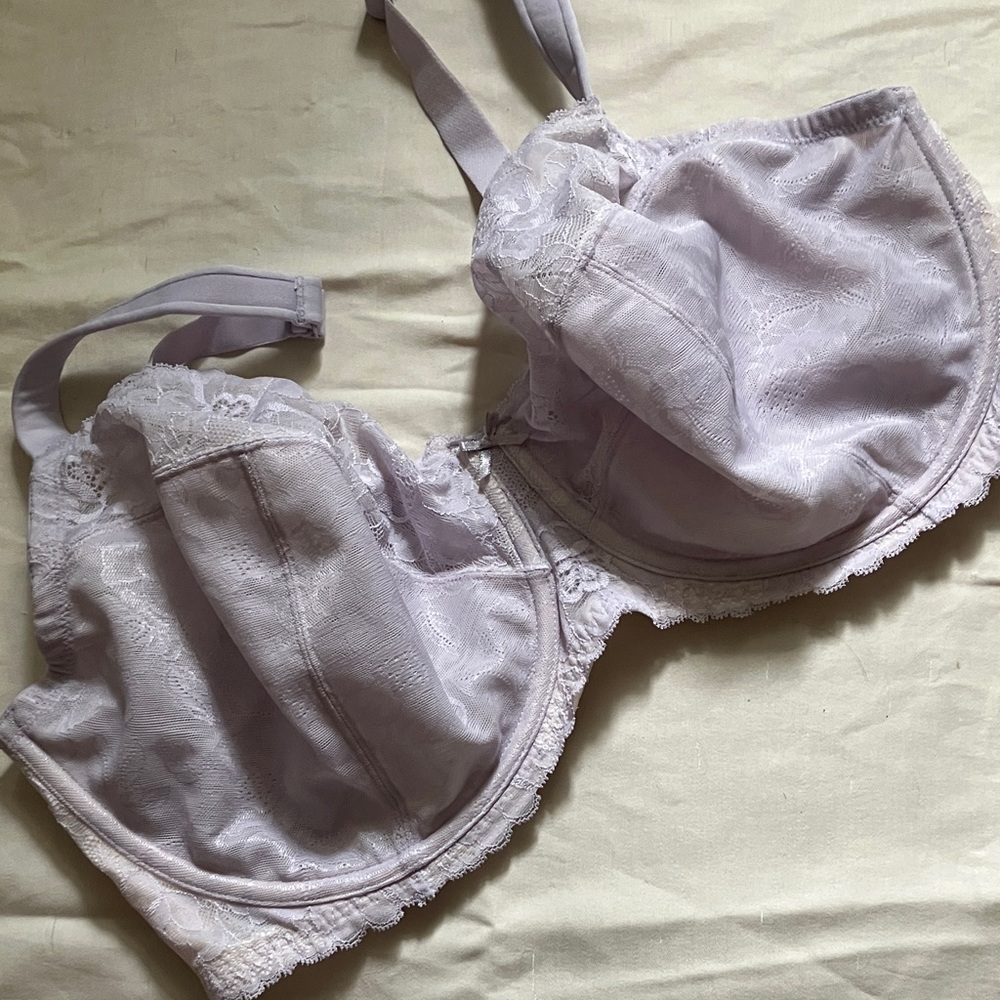 Cacique Elegant Lace Underwire Bra - Lavender